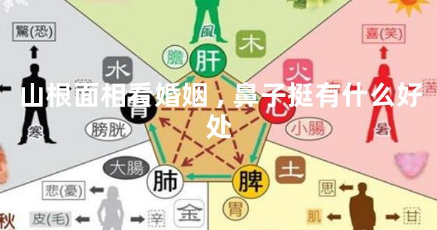 山根面相看婚姻,鼻子挺有什么好处